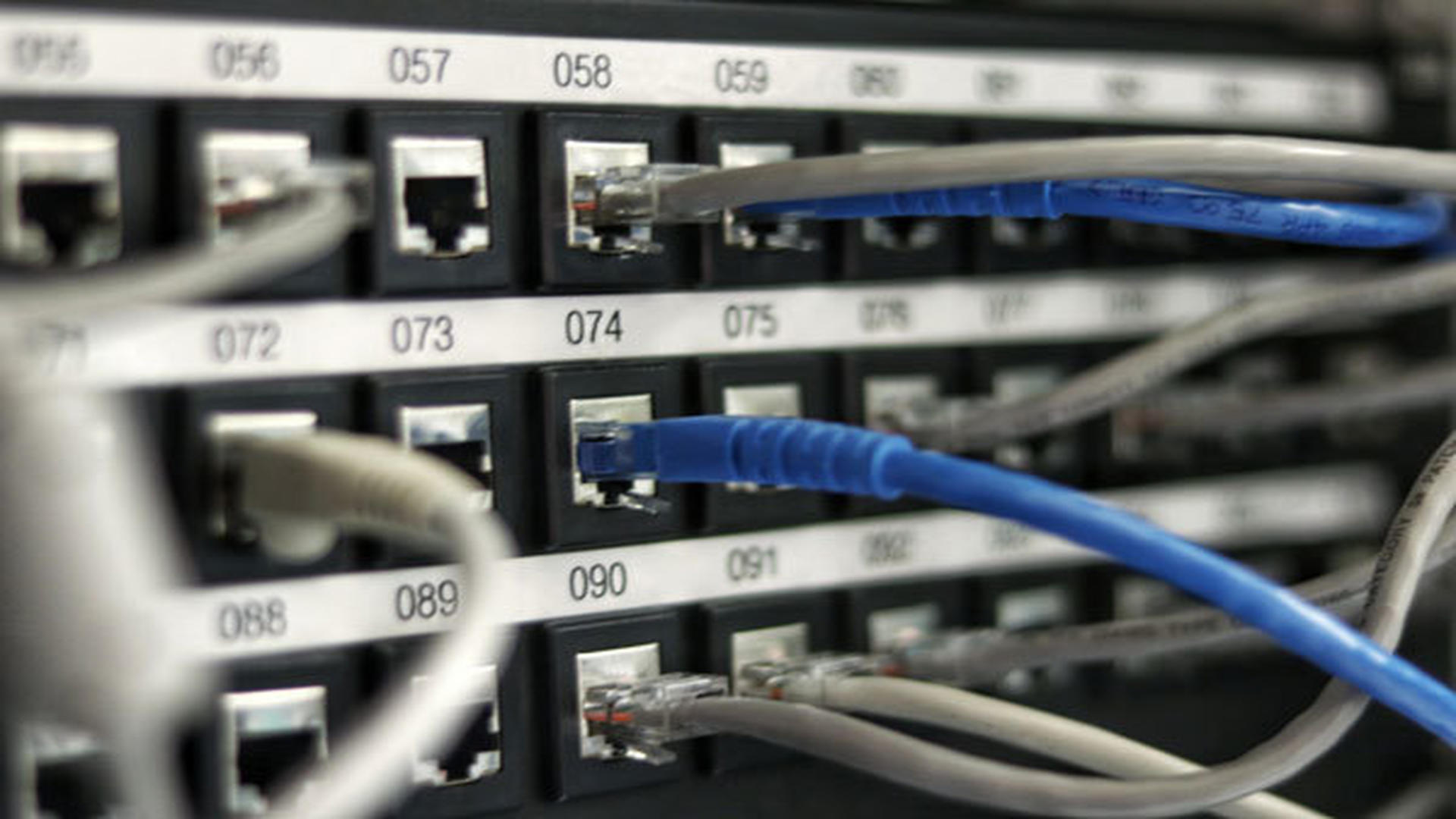 Blåa och gråa kablar i en router